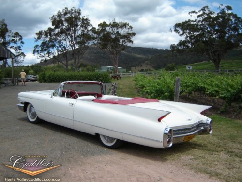 Hunter Valley Wine Tours Cadillac Convertible